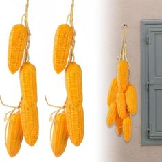 corn on the cob hanging from hooks next to an open door