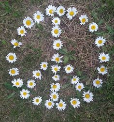 white daisies are arranged in the shape of a heart