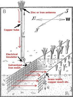 the diagram shows different parts of an animal's habitat, including plants and other animals