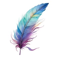 a blue and purple feather on a white background