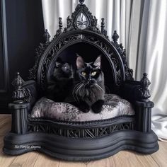 two black cats sitting on an ornate chair