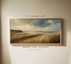 a tv frame hanging on the wall above an empty room with grass in front of it