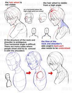 how to draw an anime character head with different angles and hair length, from the side view