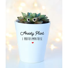 a potted plant with googly eyes on it that says, andy plant i photosymathse