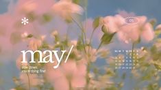 a desktop calendar with the word may on it and flowers in front of a blue sky