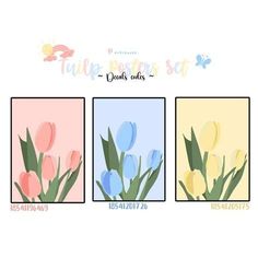 three different colored tulips are shown in four separate frames with the same color