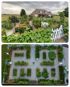 an aerial view of a garden with various plants in the center and on the other side