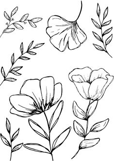 four flowers are shown in black and white, one is drawn with ink on paper