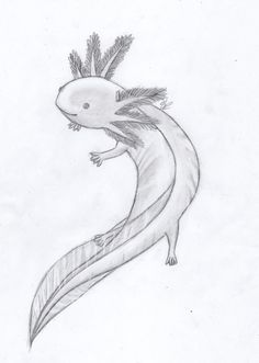 a pencil drawing of a lizard with feathers on it's head and tail,