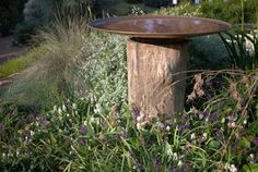 a bird bath surrounded by wildflowers and grasses