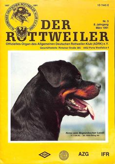 the front cover of a german rottweiler dog book with an image of a black dog