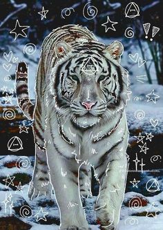 a white tiger walking across a snow covered ground with symbols on it's face