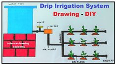 drip irrigation system drawing diy | simple and easy | science drawing  @howtofunda   @craftpiller ​ Irrigation System Diy, Irrigation Diy, Science Diy, Drip Irrigation Diy, Drip System, Plan Drawing