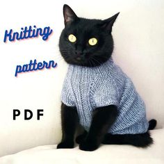 a black cat wearing a sweater sitting on top of a white pillow with the caption knitting pattern