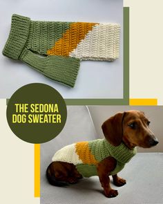 a dog is wearing a sweater made from yarn