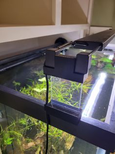 an aquarium with some plants in it and a phone on the ledge next to it