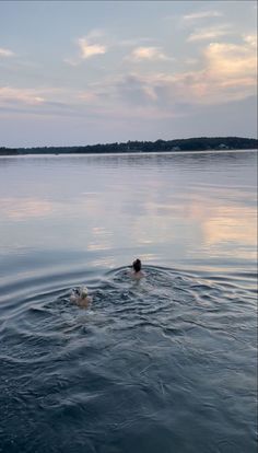 two people are swimming in the water at sunset or dawn with their heads above the water's surface