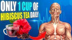 15 Reasons Why You Should Drink HIBISCUS TEA Every Day And How To Prepare It Hibiscus Juice, Benefits Of Hibiscus Tea, Benefits Of Hibiscus, Hibiscus Tea Benefits, Types Of Teas, Hibiscus Drink, Healthy Seeds, Hibiscus Plant, Blood Pressure Medications