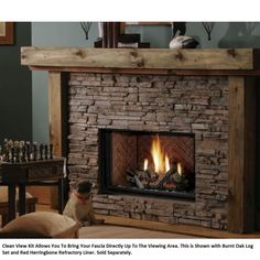 a dog sitting in front of a fire place