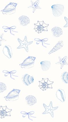 a drawing of sea shells and starfish on a white background