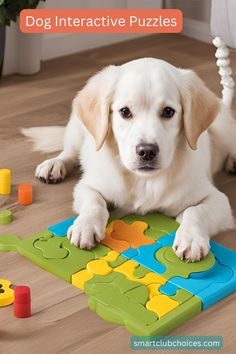 a white dog laying on the floor next to a puzzle board with colorful pieces in it