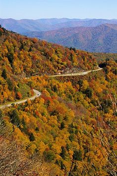 a winding road surrounded by colorful trees in the mountainside with autumn foliage on both sides