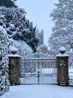 a gate in the middle of a snowy park