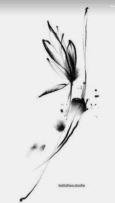 a black and white photo of a flower with the words kottato studio on it