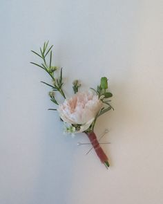 a single pink flower with green stems on a white surface