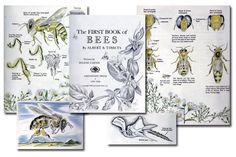 the first book of bees is shown in four different pictures, including one with an insect and