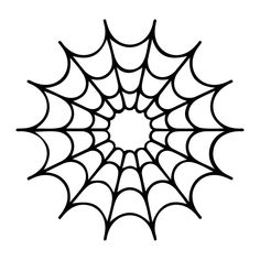 a spider web on a white background