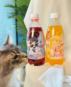 a cat is looking at two bottles of water and one has it's nose to the other