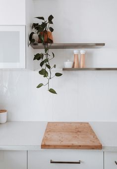 a potted plant sitting on top of a wooden cutting board in a white kitchen