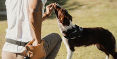 a man kneeling down next to a dog on top of a grass covered field with a frisbee in it's mouth