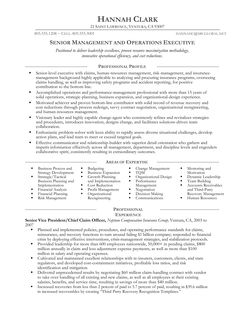 a professional resume template for an executive