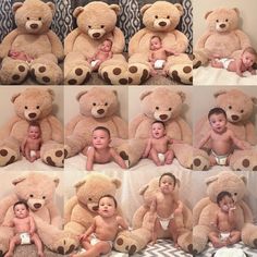 there are many pictures of babies with teddy bears