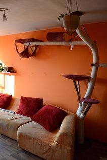 a living room with orange walls and red pillows on the couches in front of an open window