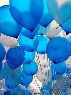 a bunch of blue and white balloons floating in the air