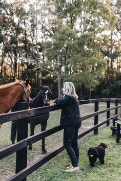 a woman petting two horses behind a fence with a black dog on the other side