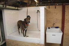 a dog standing in a bathtub next to a water dispenser and dryer