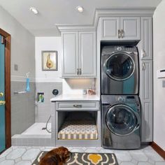 a dog is sitting in front of a washer and dryer