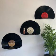 three vinyl records are hanging on the wall next to a plant and potted plant