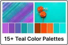 the color scheme for teal is shown with orange flowers and blue stripes in the background