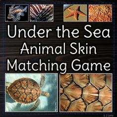 an animal skin matching game with pictures of sea animals and other marine creatures on it