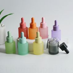 an assortment of different colored bottles with a plant in the background