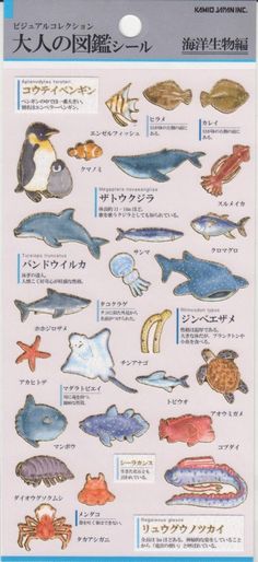 an image of various sea animals in japanese