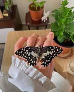 a butterfly that is sitting on someone's hand in front of some plants and books