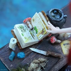 an open book sitting on top of a wooden table next to rocks and a knife