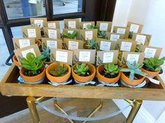 there are many succulents in small pots on the table with place cards