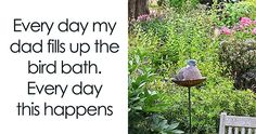 a bird sitting on top of a wooden bench next to a lush green park filled with flowers